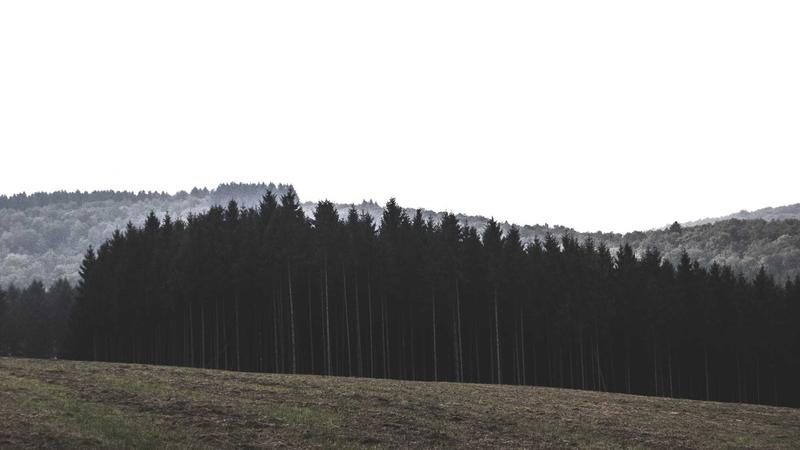 零门槛接入